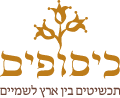כיסופים - תכשיטי זהב בעבודת יד