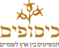 כיסופים - תכשיטי זהב בעבודת יד