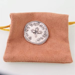 מטבע מחצית השקל